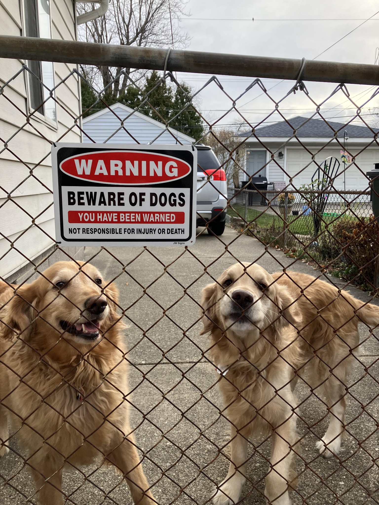 Beware of dogs image